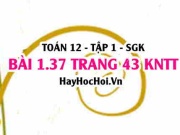 Bài 1.37 SGK Toán 12 tập 1 Kết nối tri thức